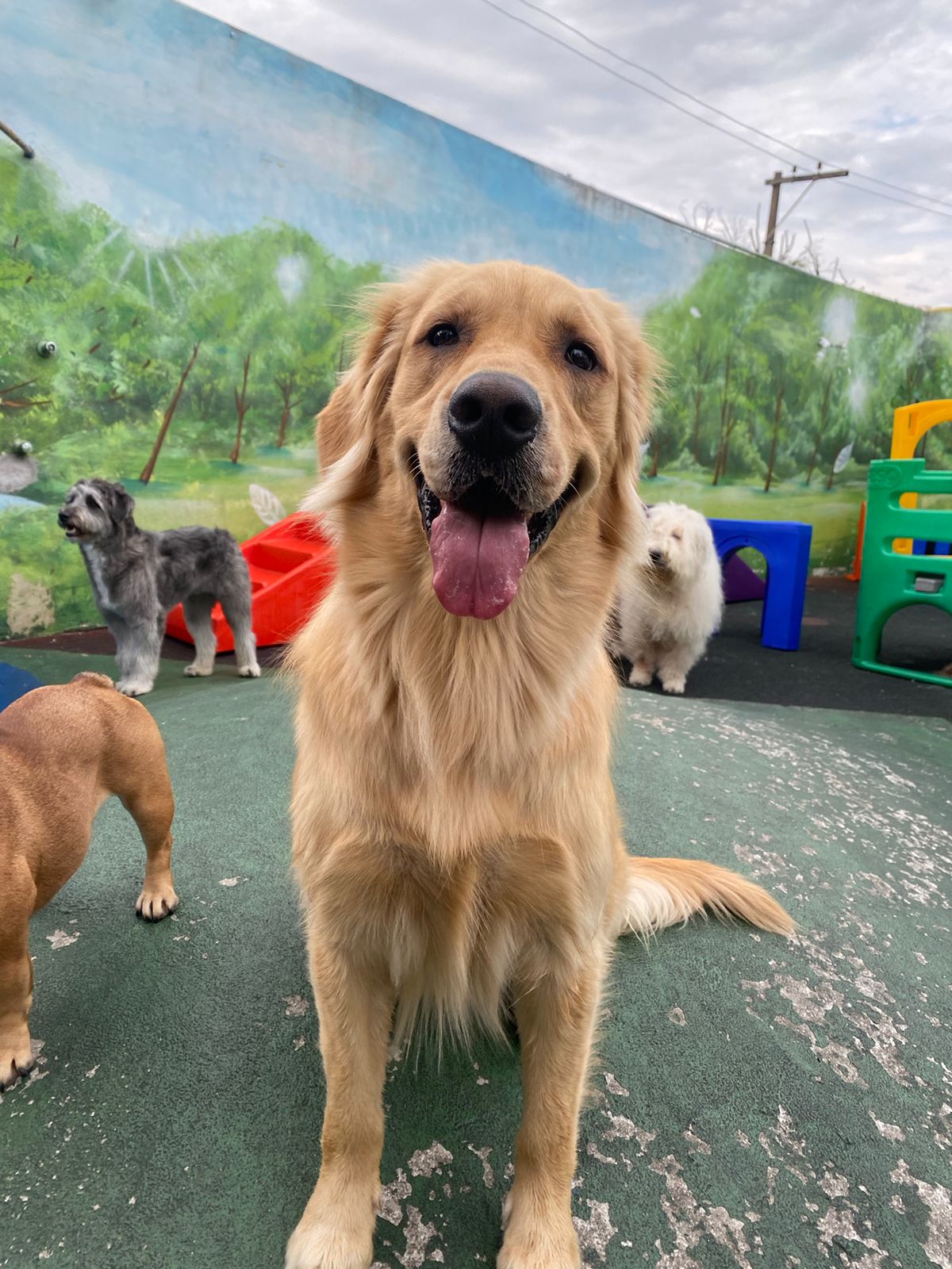 c23f9db5-72b0-4a43-b85a-c8cf5b4a6aa1