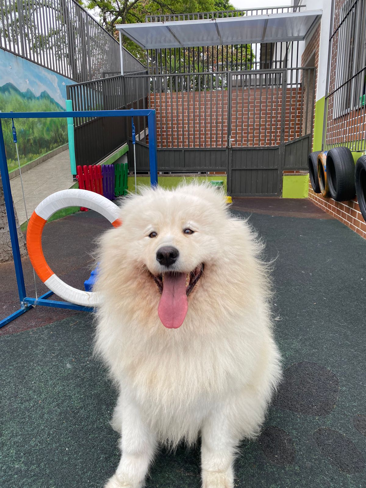 e9d33b42-6430-4d4f-8379-8524c655b58e